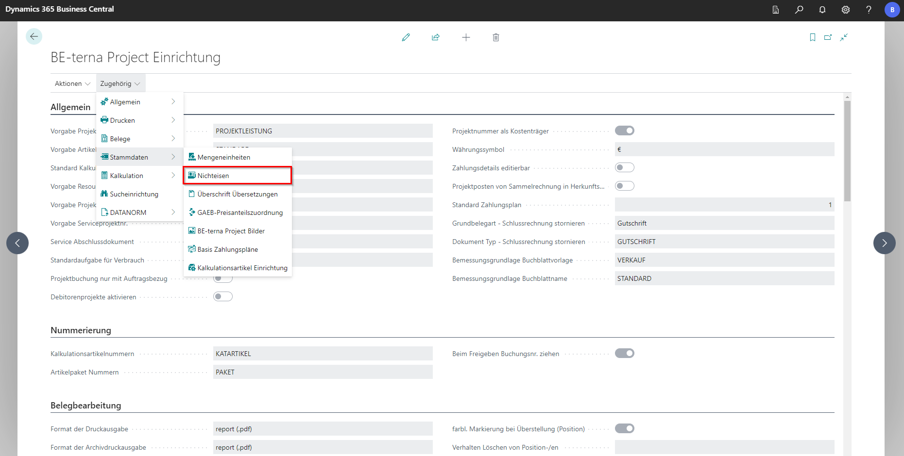2023-07-04 16_03_35-BE-terna Project Einrichtung - Dynamics 365 Business Central und 1 weitere Seite.png